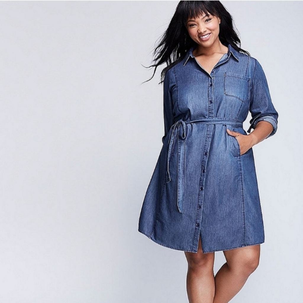 Lane Bryant Chambray Denim Button Front Dress Sz 26